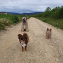 L'Oô avec ses 2 copines