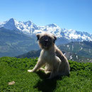 Sira meine Berge sind doch wunderschön, elle sont belles mes montagnes non?