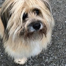 Danaée 13.5 ans / Danaée 13.5 jährig