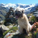 Sira im Tirol