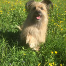 Toya 6 ans / 6 Jahre alt