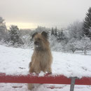 Toya, première neige en 2017