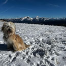 U'Rouky: balade dans la neige en Savoie / Winterspaziergang in den Savoyen