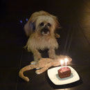 Sira hat Geburtstag tralalalala.....
