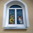 gemalte Miez im gemalten Fenster mit echtem Rahmen;