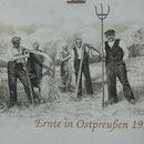 Kleines altes Foto "Familie während der Ernte" wird zu einem großen Fassadenbild auf einem Bauernhof.