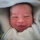 Yanis