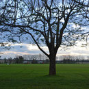 Canchas de futbol