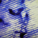 352_Eight