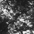 094_Monza