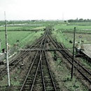 300_Moving