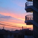 173_Daybreak