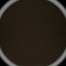 224_Rap II
