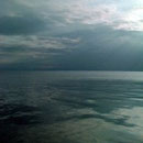 119_Wonder (Version II)