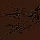 023_Sound And Noise