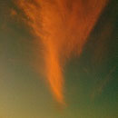 203_6PM