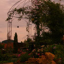 Pavillon, Rankhilfe