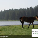 Unsere Reittour in Bulgarien führt durch Bergwiesen und kleine Seen, verschlafene Dörfer und sanfte Hügel 