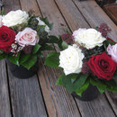 Gesponsert von Flowerevents Meggen