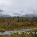 unterwegs auf der Carretera Austral