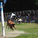 Rodeo am Kirschenfest
