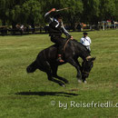 Rodeo am Kirschenfest