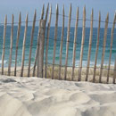 plage sauvage avec dunes