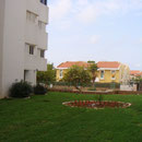 renovated garden