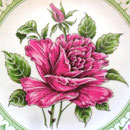 Lund & Clausen rose Mother's Day