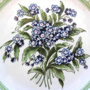 1971 - Forget me not