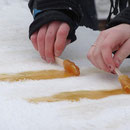 Leckerei in Quebec: Einfach Ahornsirup auf den Schnee giessen, mit einem Stäbchen aufrollen...