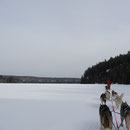 Winter in Kanada: Mit dem Hundeschlitten über einen zugefrorenen See in Ontario.