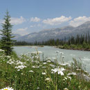 Blick auf den Kootenay River im gleichnamigen Nationalpark