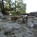 Rock climbing in Ontario