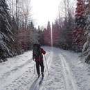 Winter in Kanada: Ski-Wanderung im Nationalpark in Quebec.