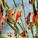„Innere Sonne“, 120 x 90cm, Mixed Media hinter Acrylglass