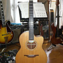 アコースティックギター Lowden　ステール弦 ギター