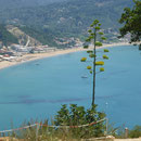 ... Mittagspause - Blick vom Lokal 