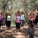 ... die "Schwimmenden Drachen" im silbrig schimmernden Olivenhain ...