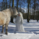Fantasie & Wirklichkeit Fotografien und Gedichte Kathrin Steiger Winter Schnee Schneefee Schneeelfe Schnee-Elfe Winterfee Winterelfe Fairy Snow Fairy Fairies Pferd Pony
