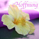 Hier klicken um zu dem Gedicht, Hoffnung, zu gelangen