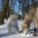 Fantasie & Wirklichkeit Fotografien und Gedichte Kathrin Steiger Winter Schnee Schneefee Schneeelfe Schnee-Elfe Winterfee Winterelfe Fairy Snow Fairy Fairies Pferd Pony