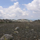 Biotope de l'étage alpin - Monte Rinosu
