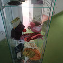 Exposition de produits et accessoires teints avec la cochenille locale