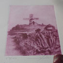 Gravure réalisée avec le carmin de cochenille produit à Lanzarote