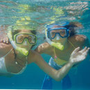 Snorkeling Playa del Carmen - Albertos Scuba