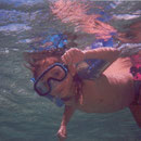 Playa del Carmen Snorkeling with Albertos Scuba