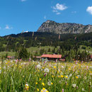 Blick zum Einstein aus dem Tannheimer Tal / Juni 2014