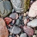 Meadfoot Bay / Torquay