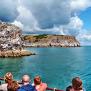 Unterwegs in der Torbay